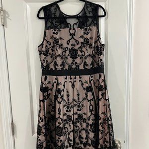 Dress Barn Black and Pink Dress